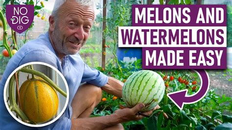 melostube|Free Melons Tube Porn Videos 